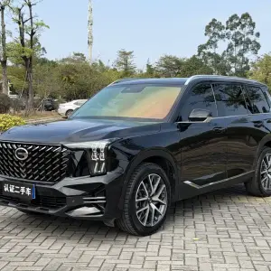 GAC Motor Trumpchi GS8 2023 252 л.с. 252 л.с. 252 л.с. из Китая