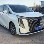 GAC Motor Trumpchi M8 2025 252 л.с. 252 л.с. 252 л.с. из Китая