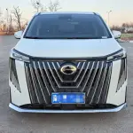 GAC Motor Trumpchi M8 2025 252 л.с. 252 л.с. 252 л.с. из Китая