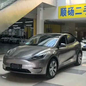 Tesla Model Y 2021 лот 57737627 из Китая