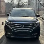 GAC Motor Trumpchi M8 2019 201 л.с. — лот 57733288 из Китая