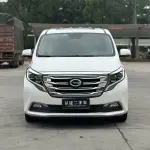 GAC Motor Trumpchi M8 2019 201 л.с. — лот 57733723 из Китая