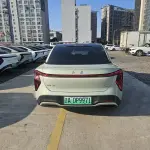 Hongqi Hongqi EH7 2024 лот 57675387 из Китая