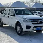 Great Wall Fengjun 5 2024 из Китая