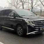 GAC Motor Trumpchi M8 2022 252 л.с. 252 л.с. 252 л.с. 252 л.с. 252 л.с. из Китая