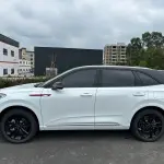 Hongqi Hongqi HS3 PHEV 2025 из Китая