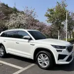 Skoda Kodiaq 2025 из Китая