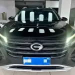 GAC Motor Trumpchi GS4 2020 из Китая