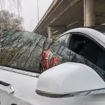 Tesla Model S 2019 из Китая
