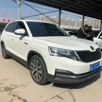 Skoda Kamiq 2024 из Китая