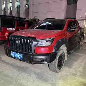 Dongfeng Rich 6 2023 из Китая