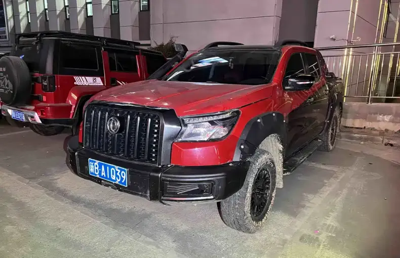 Dongfeng Rich 6 2023 из Китая