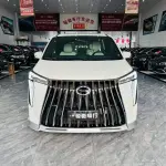 GAC Motor Trumpchi M8 2024 из Китая