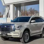 Tank Tank 500 New Energy 2023 из Китая