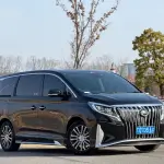 GAC Motor Trumpchi M8 2022 из Китая