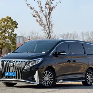 GAC Motor Trumpchi M8 2022 из Китая
