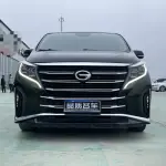 GAC Motor Trumpchi M8 2021 из Китая