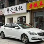Hyundai Mistra 2014 из Китая