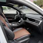 BYD PLUS 2021 из Китая