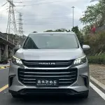 大通 G50 2019 из Китая