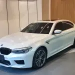 BMW 5 Series 2020 252 л.с. — лот 57779032 из Китая