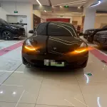 Tesla Model 3 2023 лот 57773514 из Китая