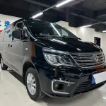 Fengxing Lingzhi 2019 122 л.с. из Китая