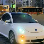 Volkswagen Beetle 2008 из Китая