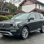 GAC Motor Trumpchi GS8 2017 201 л.с. 201 л.с. из Китая