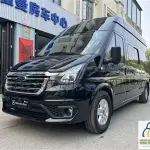 飞翔 飞翔福特舒野 2023 из Китая
