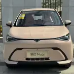 Cowin Shiyue 2025 из Китая