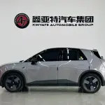 firefly萤火虫 firefly萤火虫 2025 из Китая