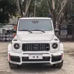 Mercedes-Benz G-Class 2018 245 л.с. — лот 57795288 из Китая