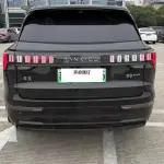 Lynk & Co 09 EM-P 2025 из Китая