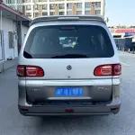 Fengxing Lingzhi 2019 122 л.с. 122 л.с. из Китая