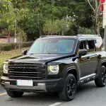 Haval Menglong New Energy 2023 378 л.с. из Китая