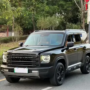Haval Menglong New Energy 2023 378 л.с. из Китая