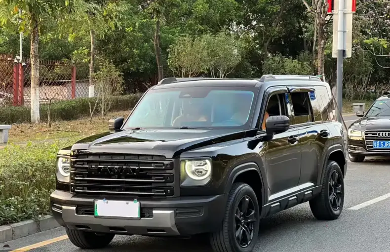 Haval Menglong New Energy 2023 из Китая