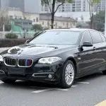 BMW 5 Series 2016 218 л.с. 218 л.с. 218 л.с. 218 л.с. из Китая