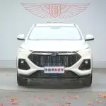Oshan Oushang X5 2021 из Китая