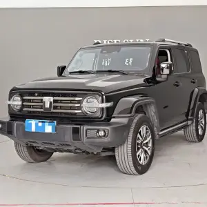 Tank Tank 300 2024 из Китая