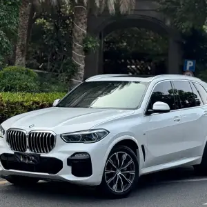 BMW X5 (Import) 2019 340 л.с. — лот 57797524 из Китая