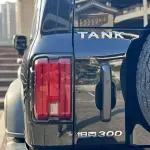 Tank Tank 300 2023 из Китая