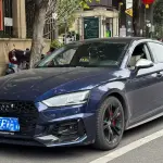 Audi A5 (Import) 2020 190 л.с. из Китая