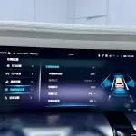 CYBERSPACE Tank 300 2022 из Китая