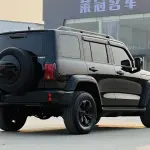 Tank Tank 300 2024 из Китая