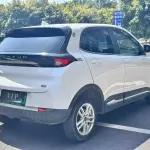 Dayun Yuehu 2023 из Китая