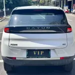 Dayun Yuehu 2023 из Китая