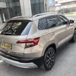 Skoda Karoq 2019 из Китая
