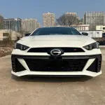GAC Motor Shadow Leopard 2024 265 л.с. из Китая